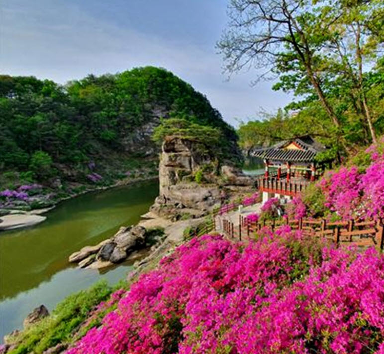 고석정
