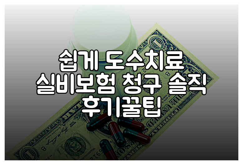 쉽게 도수치료 실비보험 청구 솔직 후기꿀팁