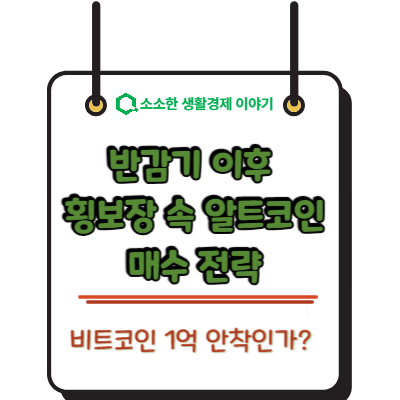 비트코인 1억 안착인가? 반감기 이후 횡보장 속 알트코인 매수 전략
