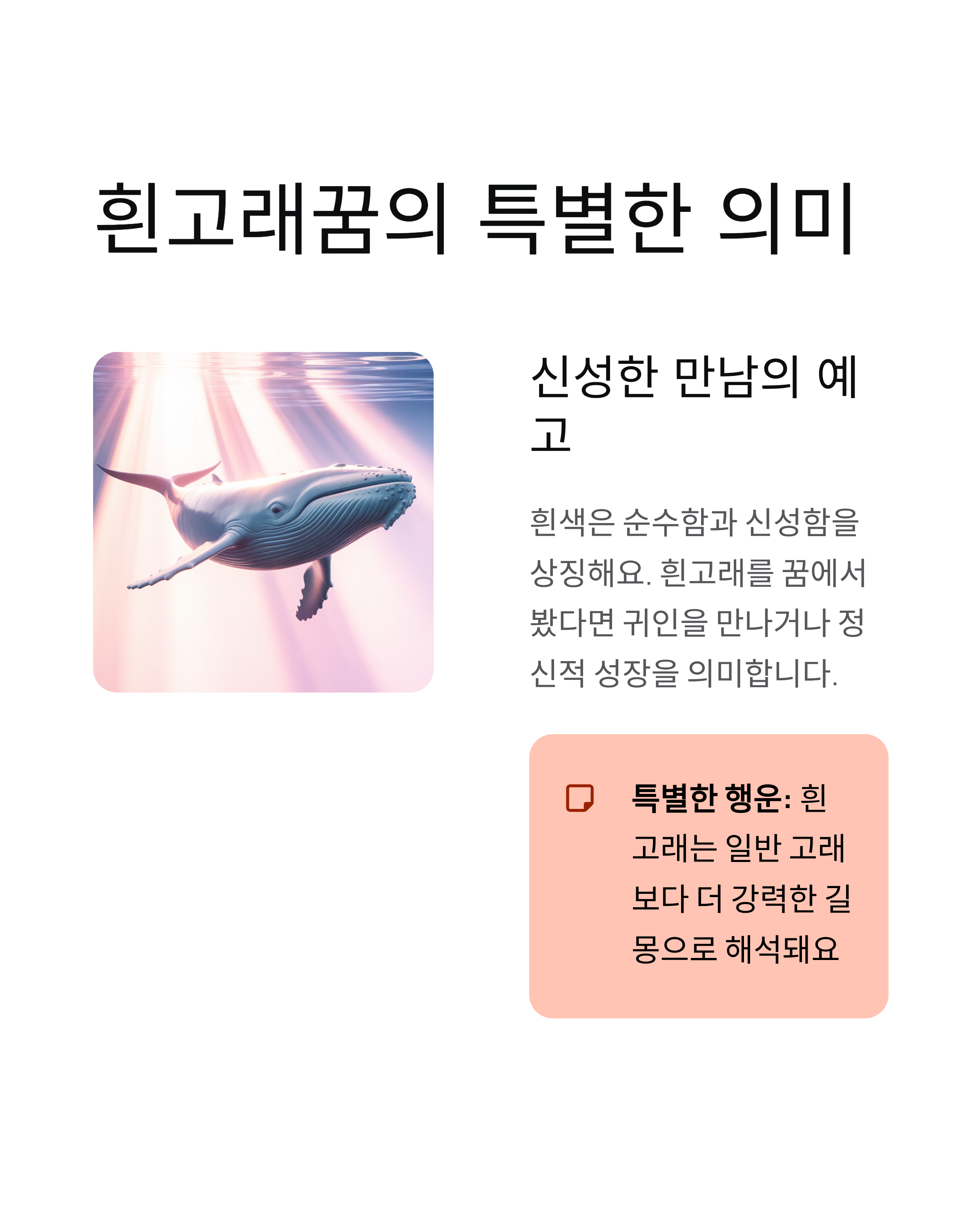 고래꿈 해몽 완벽 가이드 - 로또당첨 길몽의 비밀