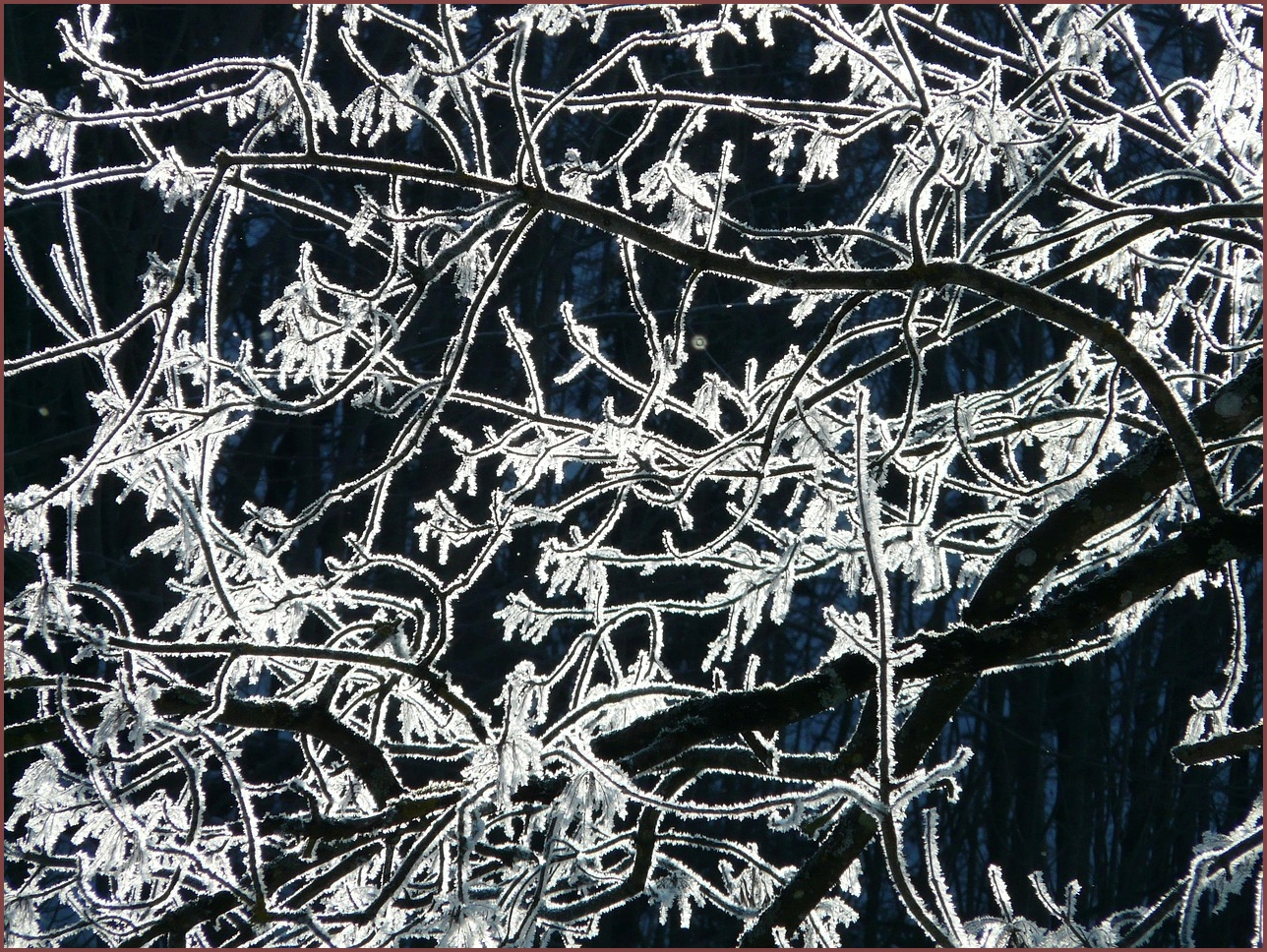 렉스턴 스포츠 칸 가격표