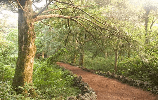 제주-돌하루팡-후기