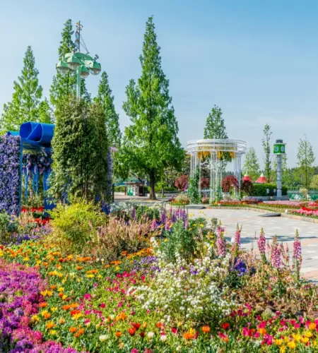 고양 꽃박람회_1