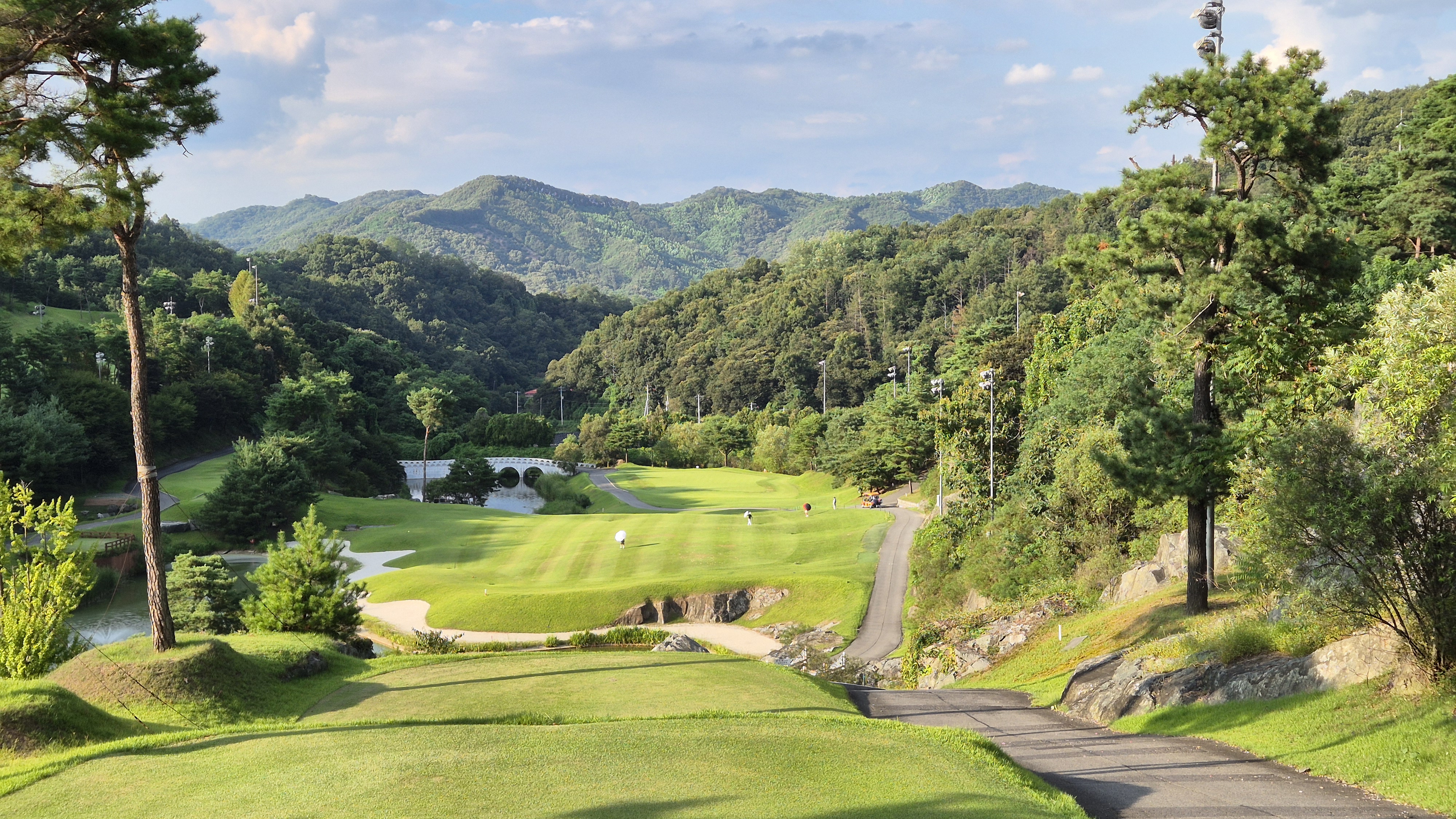 대영힐스cc 청-력 코스 사진 및 공략 정보