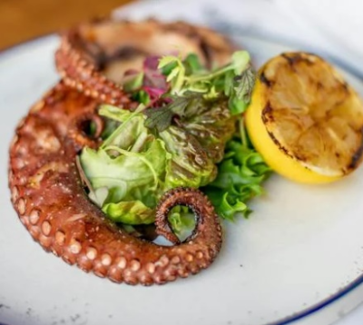 낙지 연포탕 만드는 법