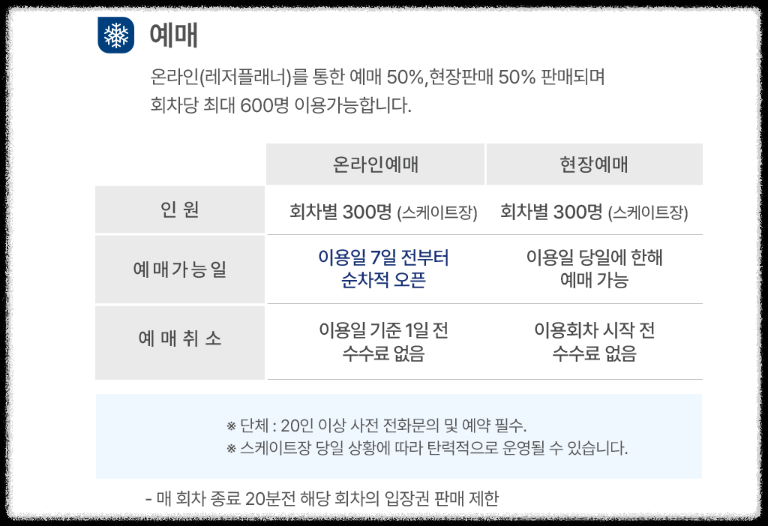 서울광장 스케이트장