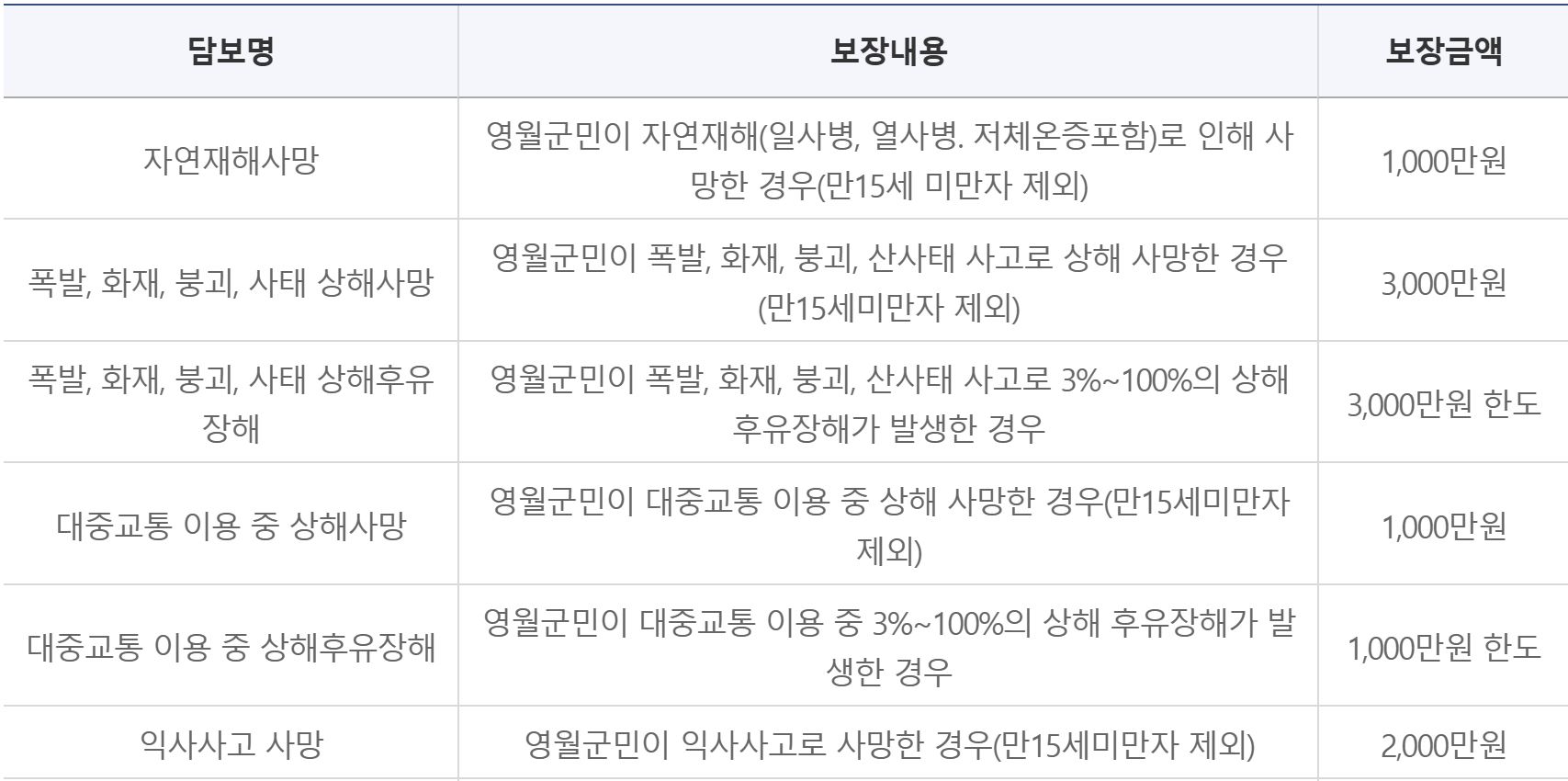 영월군 군민안전보험