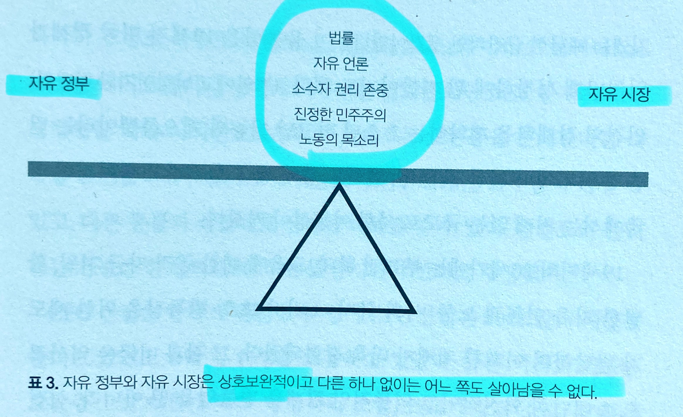 자유시장을 제어하는 자유정부, 균형이 필요