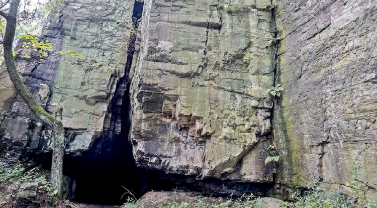 백양산 등산코스