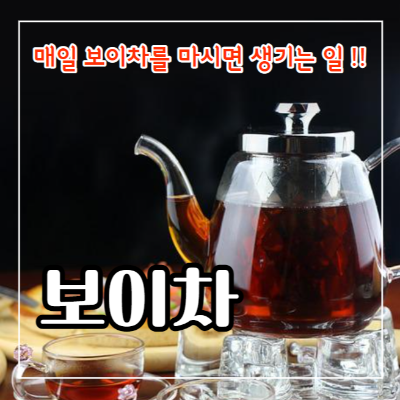 보이차 효능과 끓이는 법&#44; 보이차 부작용