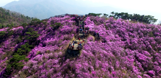 고려산3