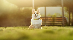 1월 5일 띠별운세&amp;#44; 정리와 선택이 이루어지는 날