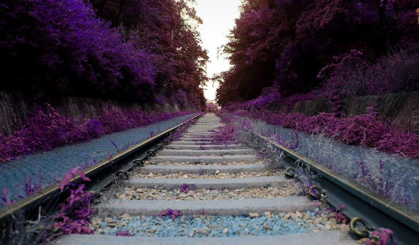 혼행족을 위한 도쿄 사진 스팟 이미지