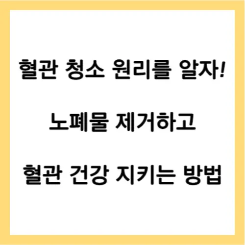 혈관청소