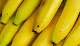 바나나 보관방법