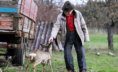 의료급여-수급권자-1종-2종-대상자