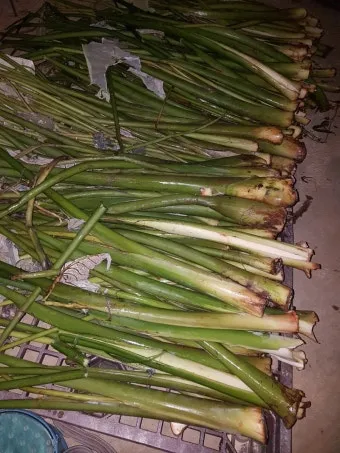 토란대 손질방법 말리는 방법을 정리_24