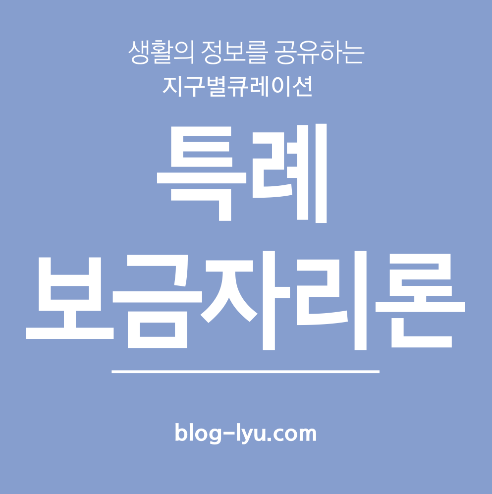 특례보금자리론