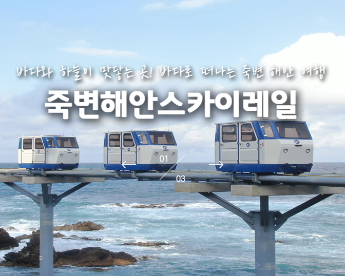 죽변 해안 스카이레일 예약 방법