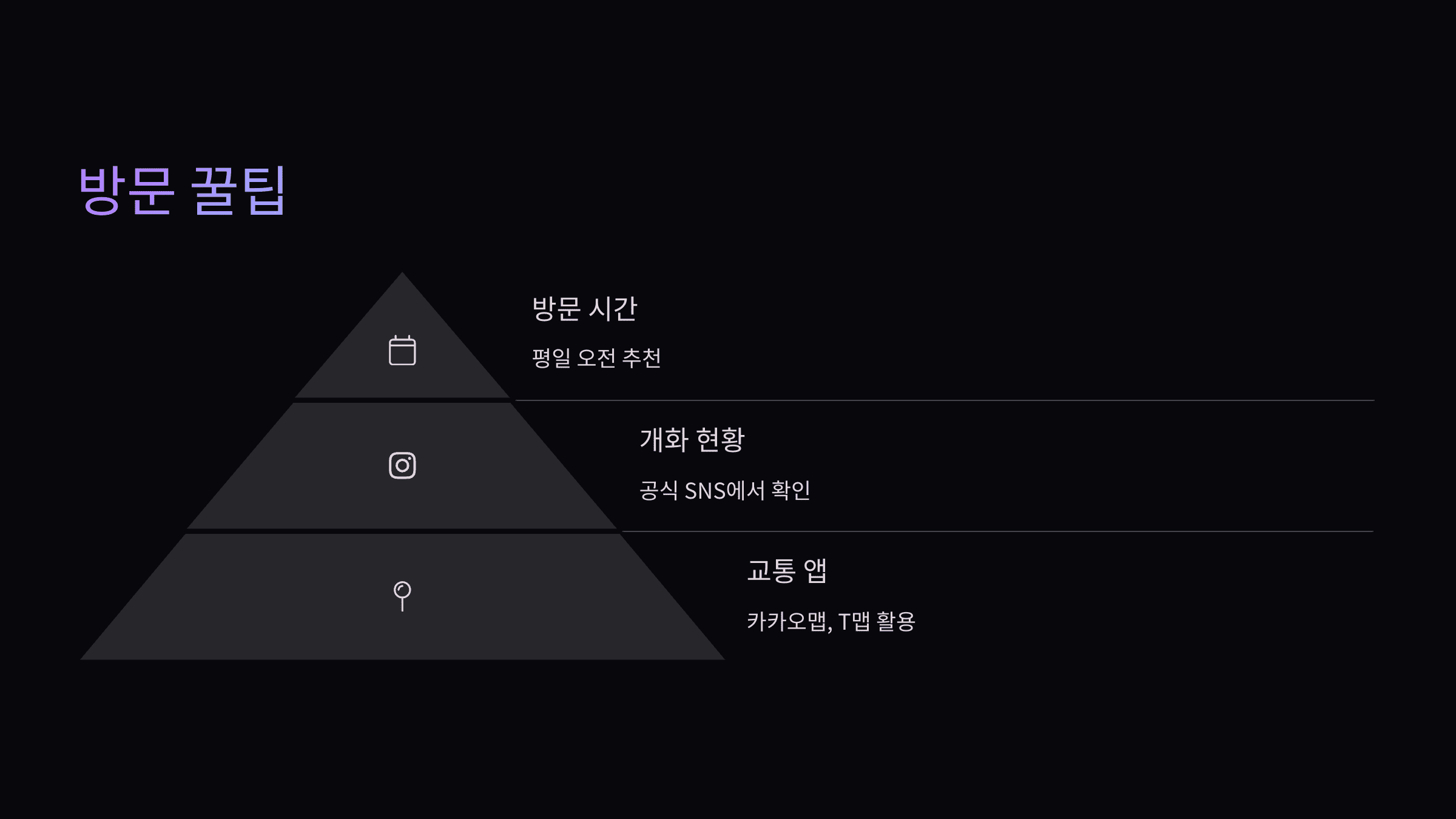 대구 이월드 벚꽃 축제, 교통·주차 완벽 가이드