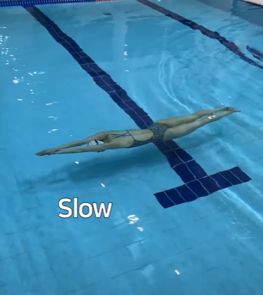 돌콩수영배우기