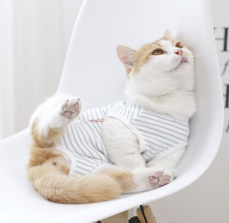 넥카라와 환묘복 이미지