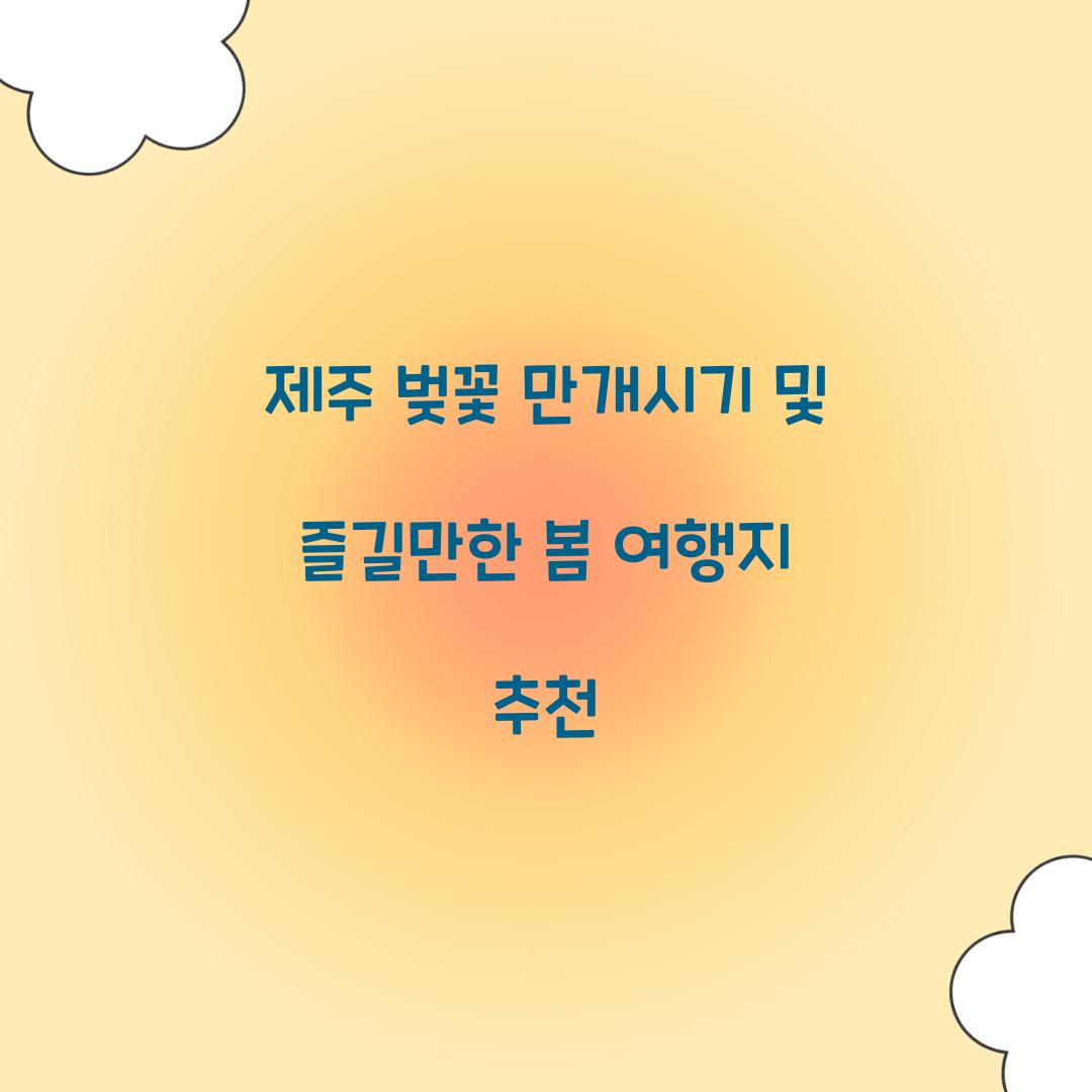 제주 벚꽃 만개시기