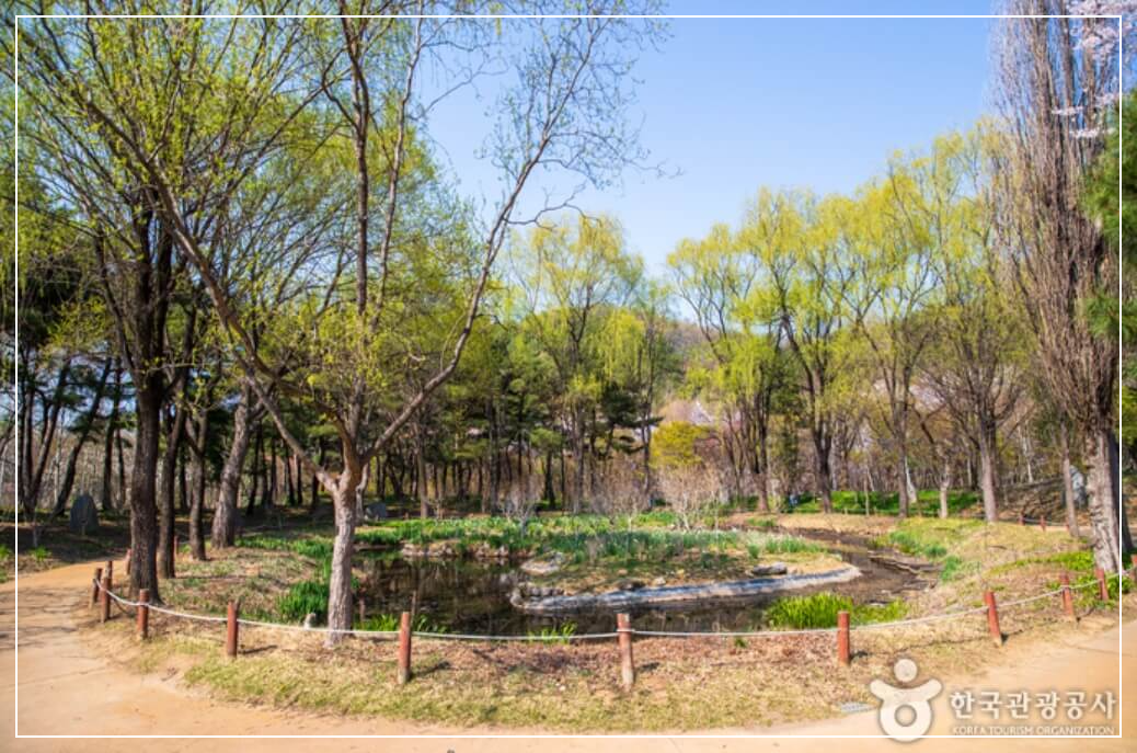 대구 가볼만한곳 베스트10 대구수목원