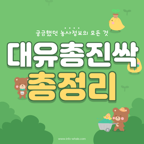 대유 총진싹 입제 사용방법,특징,차별점,가겨 정리