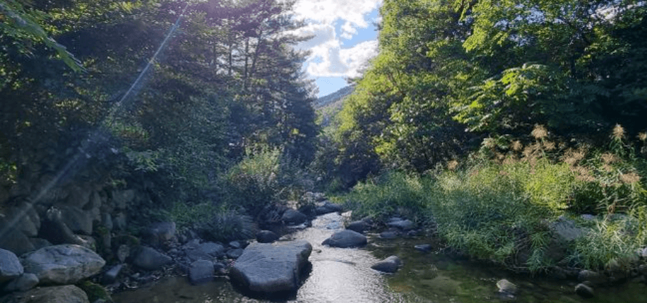 가평메타피아 이미지