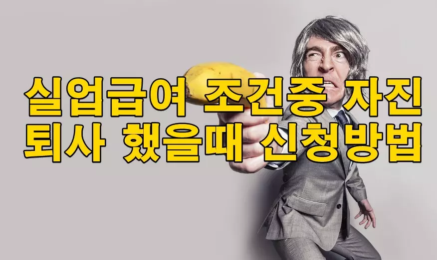 실업급여 조건중 자진퇴사 했을때 신청방법