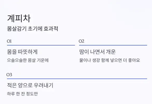 계피차 효능