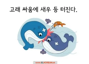 고래 싸움에 새우등 터진다 뜻과 속담 영어 표현 안내집_12