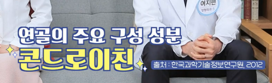 콘드로이친