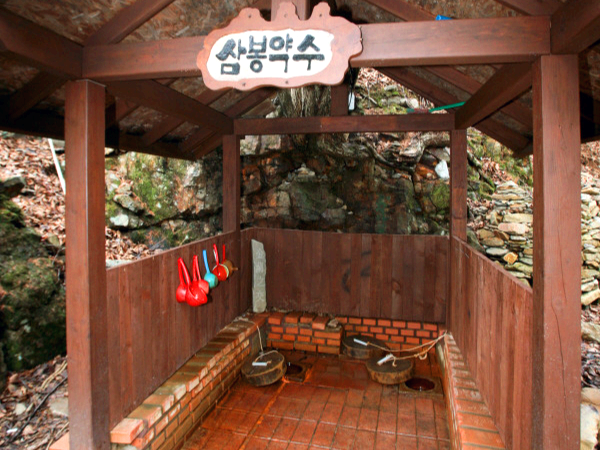 강원도 홍천 은행나무숲 방문 후기(10.23.): 단풍 확인 팁, 먹거리, 숙박