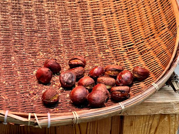 밤나무 꿈 해몽