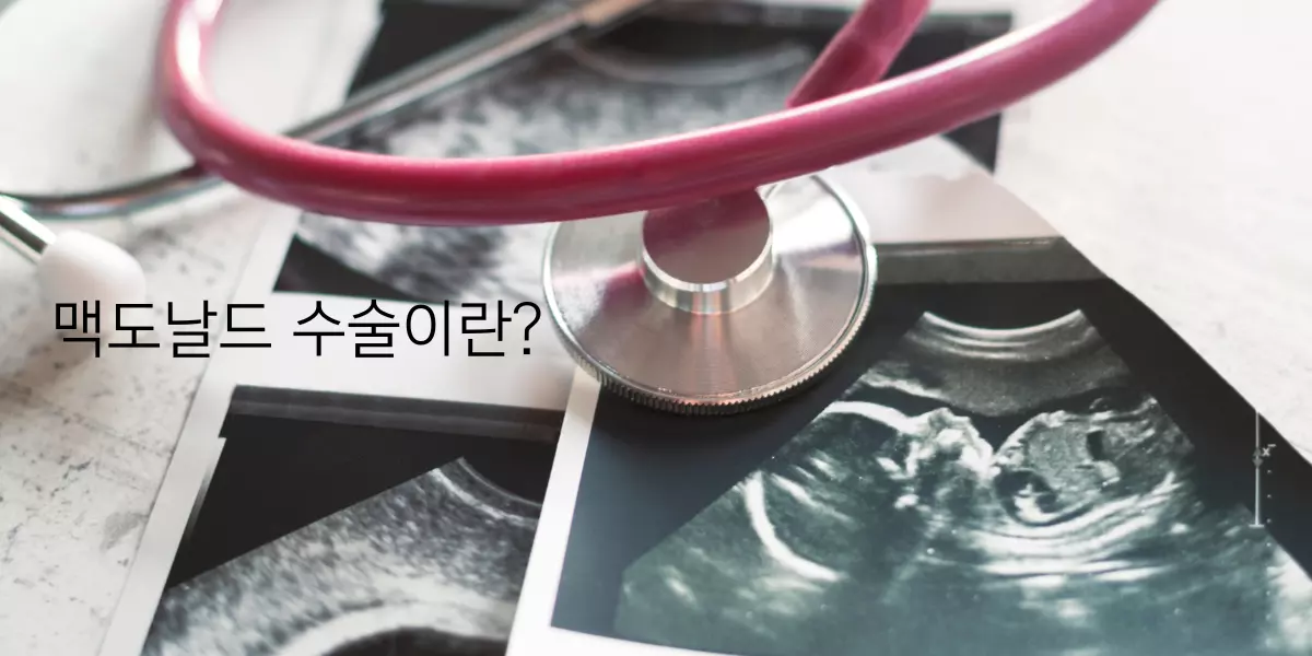 태아 초음파사진과 빨간색 청진기