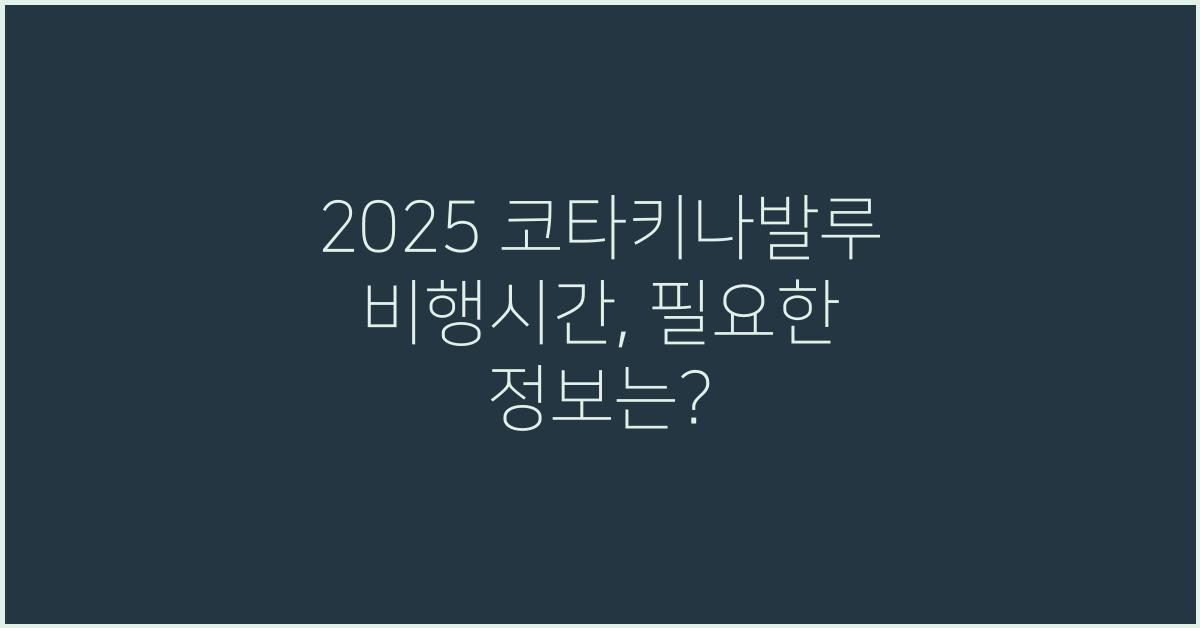2025 코타키나발루 비행시간