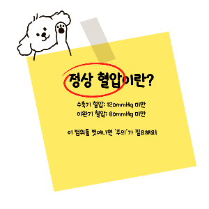 고혈압 수치