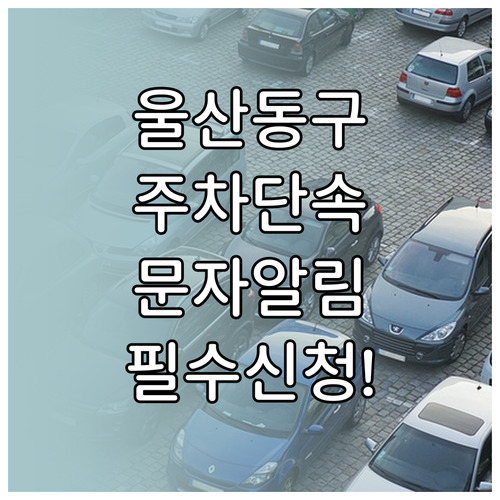 울산 동구 주정차 단속 문자 알림 신..