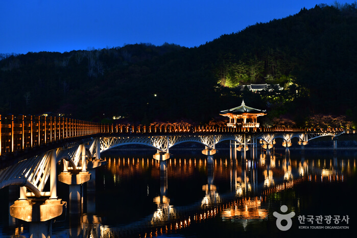 안동 월영교 야경