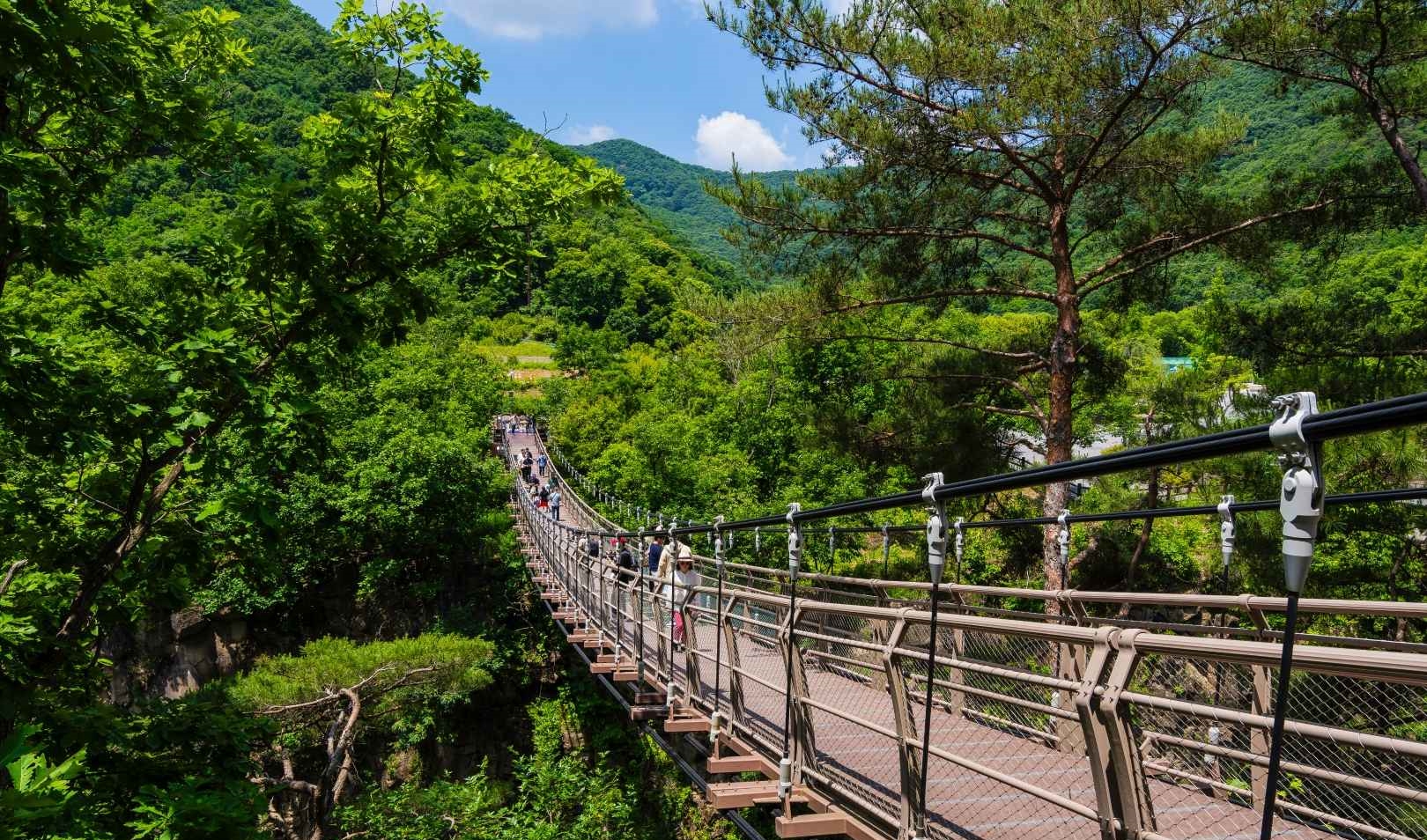 연천 재인폭포 출렁다리