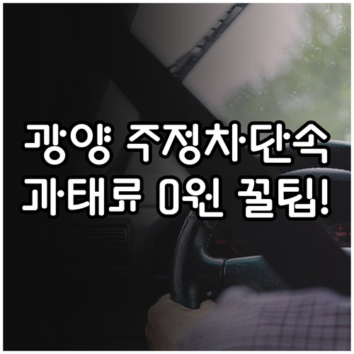 광양시 주정차단속 알림 서비스 요약 ..