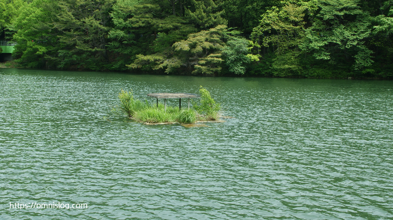 성지곡수원지(聖知谷水源池)