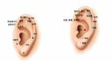 귀 혈자리 위치 지압법
