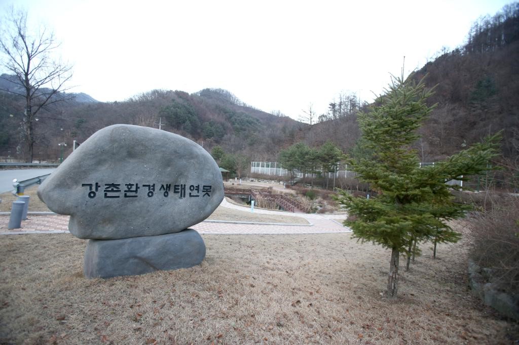 춘천 강촌 환경 생태 연못