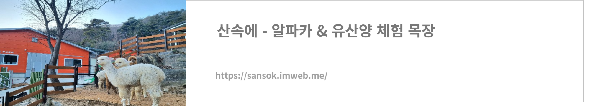 산속에