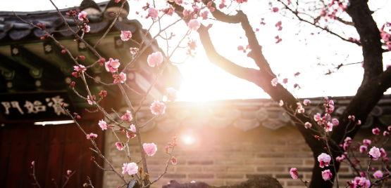 국내여행 한국의 아름다운 여행지