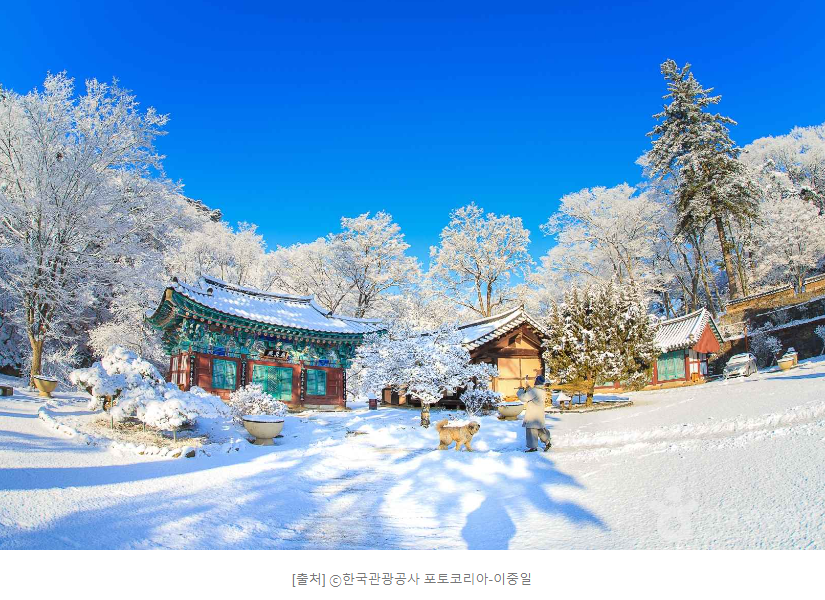 공주 마곡사