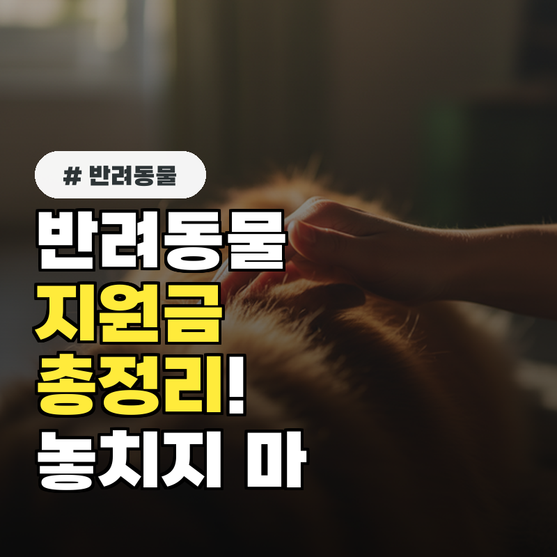 반려동물 지원금 총정리! 신청 방법과 최신 혜택